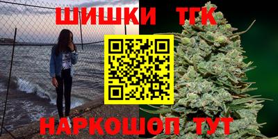 СК Бийск