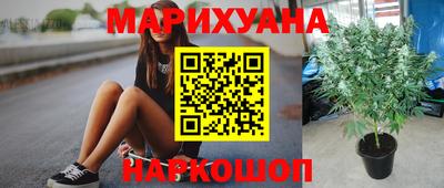 СК Бийск