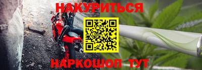 СК Бийск