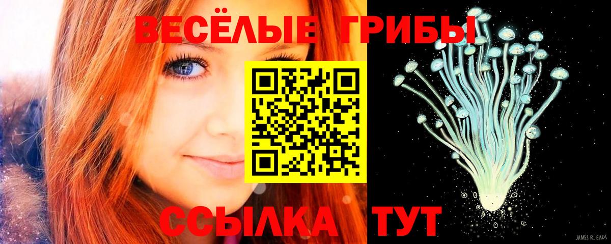 Галлюциногенные грибы GOLDEN TEACHER  Псилоцибиновые грибы мухоморы  Кизляр  Вход с VPN 